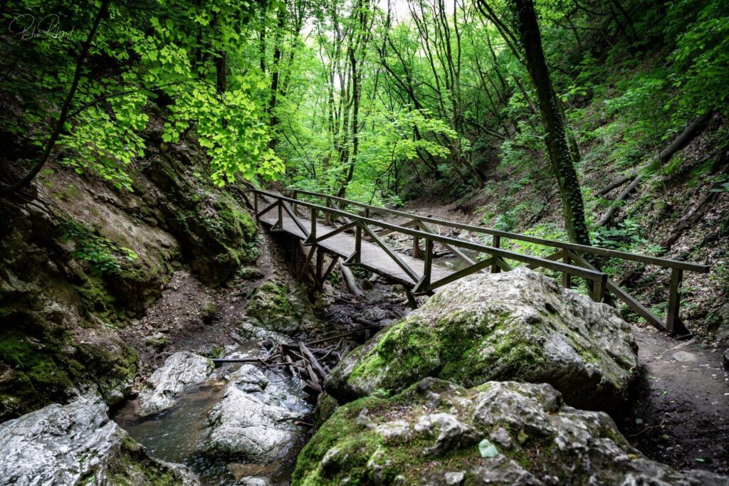 Dera-szurdok